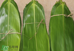 干粽葉要煮嗎？干粽葉到底是泡好還是煮好？