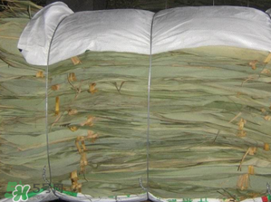 干粽葉怎么保存？干粽葉可以放冰箱嗎？