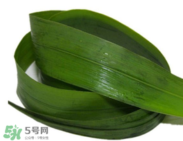 粽葉有幾種？粽葉哪種好？