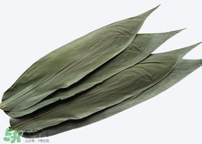 粽子葉怎么保存？粽葉怎么保存？