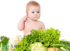 夏季寶寶飲食原則是什么？夏季寶寶吃什么好？