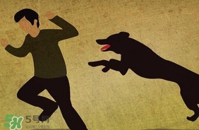 狂犬病疫苗什么時候打？狂犬病潛伏期最長多久