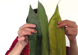 干粽葉怎么煮？干粽葉煮多久？