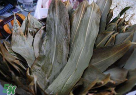 粽子葉可以反復(fù)用嗎？粽葉可以反復(fù)用嗎？