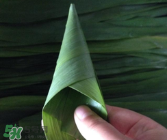 粽子葉能冷凍嗎？粽子葉放冰箱冷藏還是冷凍？