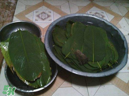 粽子葉怎么洗？粽葉怎么洗才干凈？