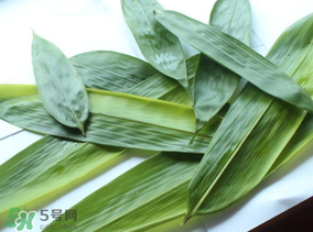 如何挑選粽葉？粽子葉怎么選？