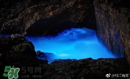 浙江多地驚現(xiàn)藍(lán)眼淚現(xiàn)象 藍(lán)眼淚是什么？