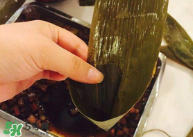 粽子葉怎么煮？煮粽葉的步驟