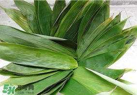 粽子葉怎么煮？煮粽葉的步驟