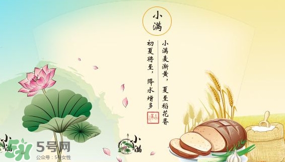 節(jié)氣小滿大滿是什么意思？24節(jié)氣為什么沒有大滿