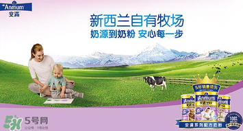 安滿滿睿幼兒配方奶粉怎么樣？安滿滿睿奶粉怎么沖？
