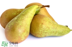 比利時啤梨要削皮嗎？比利時啤梨怎么放軟