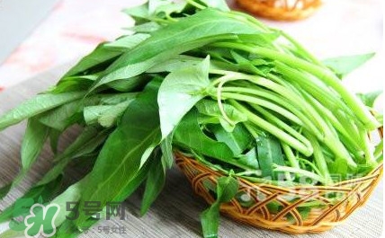 空心菜有毒嗎？空心菜需要焯水嗎？