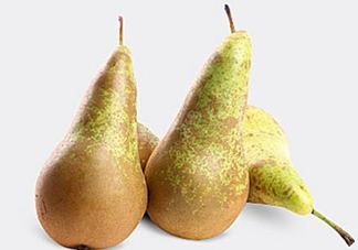  比利時啤梨怎么吃？比利時啤梨怎么是軟的？