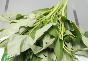 空心菜可以生吃嗎？空心菜能生吃嗎