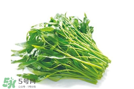 空心菜有毒嗎？空心菜需要焯水嗎？