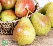 啤梨可以放冰箱放軟嗎？啤梨怎么保存時間久