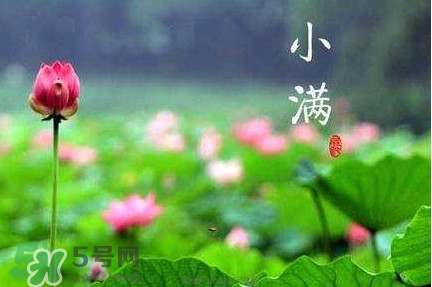 節(jié)氣小滿大滿是什么意思？24節(jié)氣為什么沒有大滿