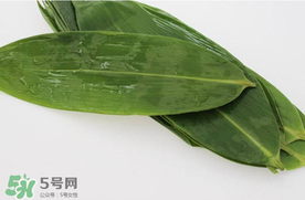 新鮮粽葉怎么處理？新鮮粽子葉怎樣處理？