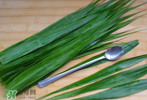 粽葉是蘆葦葉嗎？粽葉和蘆葦葉的區(qū)別