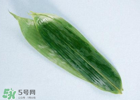 箬葉可以包粽子嗎？箬葉怎么包粽子？