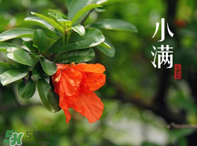 ?小滿可以回娘家嗎？?小滿能回娘家嗎？