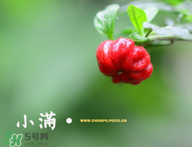 ?小滿可以回娘家嗎？?小滿能回娘家嗎？