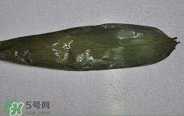 粽葉怎么曬干？粽葉怎么曬干不卷？