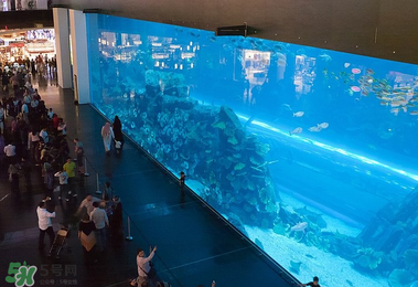 2017迪拜購物攻略 迪拜阿聯(lián)酋買什么便宜？