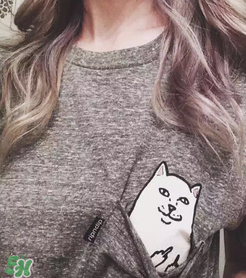 ripndip是什么牌子？ripndip是什么檔次？