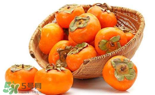 孕婦能吃柿子嗎？孕婦能吃柿子餅嗎？