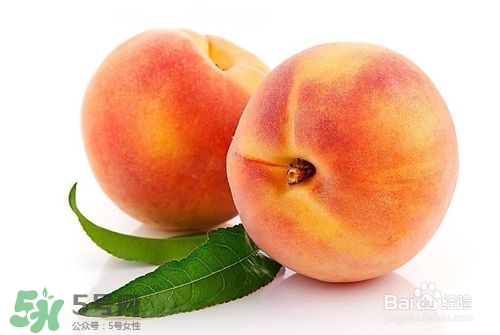 桃子的種類有哪些？哪種桃子最好吃？