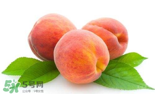 桃子的種類有哪些？哪種桃子最好吃？