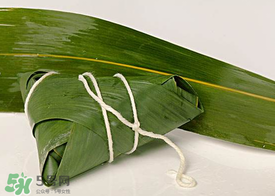 新鮮粽葉怎么處理？新鮮粽子葉怎樣處理？