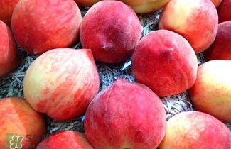 水蜜桃的產(chǎn)地在哪里？水蜜桃熱量高嗎？