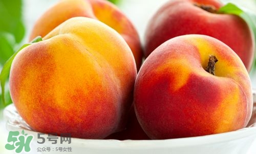 桃子的種類有哪些？哪種桃子最好吃？