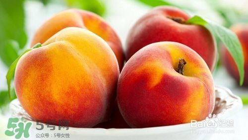 桃子的種類有哪些？哪種桃子最好吃？