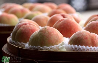 水蜜桃的產(chǎn)地在哪里？水蜜桃熱量高嗎？