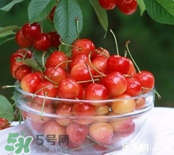 櫻桃是熱性還是涼性？櫻桃能多吃嗎？