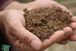 女子30年吃1噸土 異食癖是缺什么？