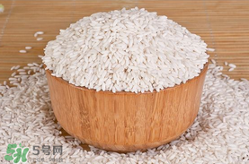 江米泡多久才可以包粽子？江米包粽子跑多長時(shí)間？