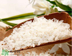 大米可以包粽子嗎？包粽子大米要泡多久？