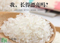 大米可以包粽子嗎？包粽子大米要泡多久？