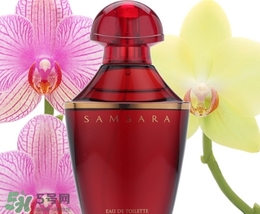 嬌蘭samsara圣莎拉香水怎么樣？嬌蘭samsara輪回香水香評