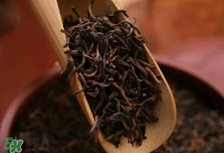 普洱茶能不能天天喝？天天喝普洱茶好嗎？