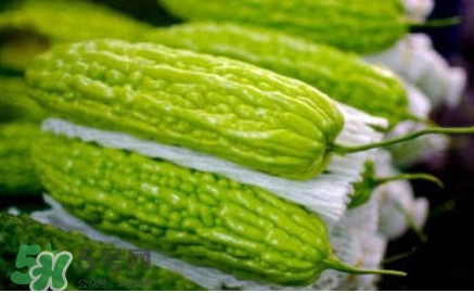 苦瓜可以生吃嗎？生吃苦瓜可以減肥嗎？