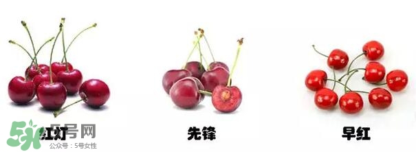 櫻桃和車?yán)遄佑惺裁磪^(qū)別？櫻桃和車?yán)遄幽膫€(gè)貴？