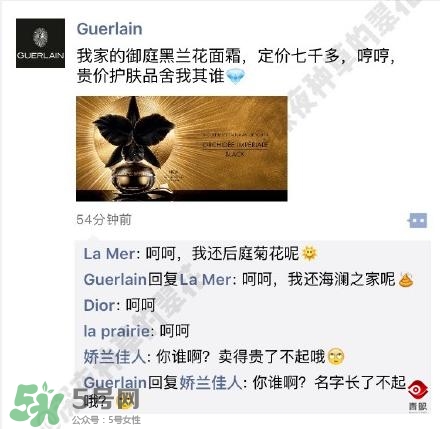 嬌蘭和嬌蘭佳人一樣嗎？嬌蘭和嬌蘭佳人什么聯(lián)系？