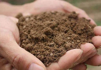 異食癖是什么病？異食癖怎么治